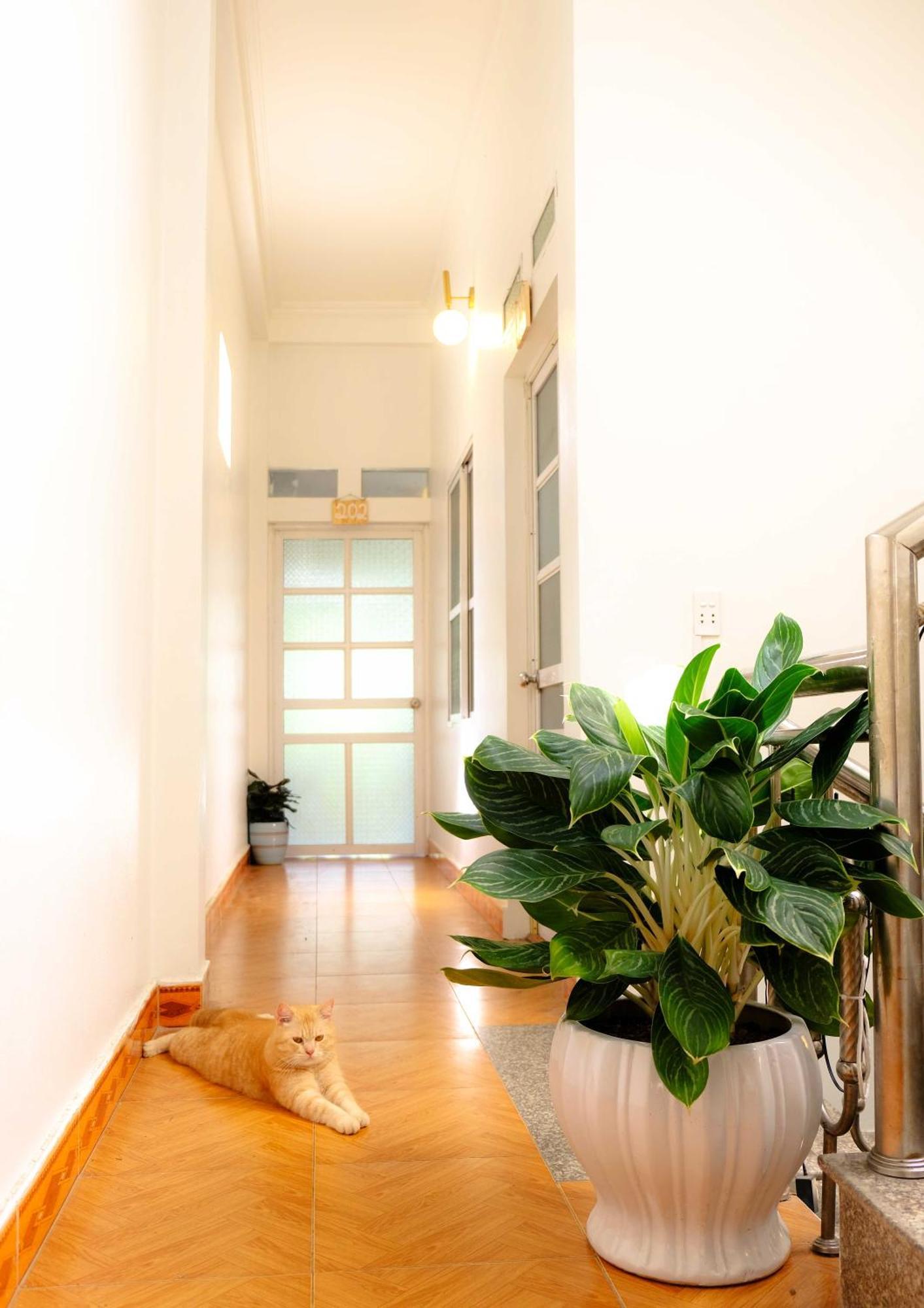 Lazy Cat Homestay - Motorbikes Rental & Tours Ha Giang Exterior photo
