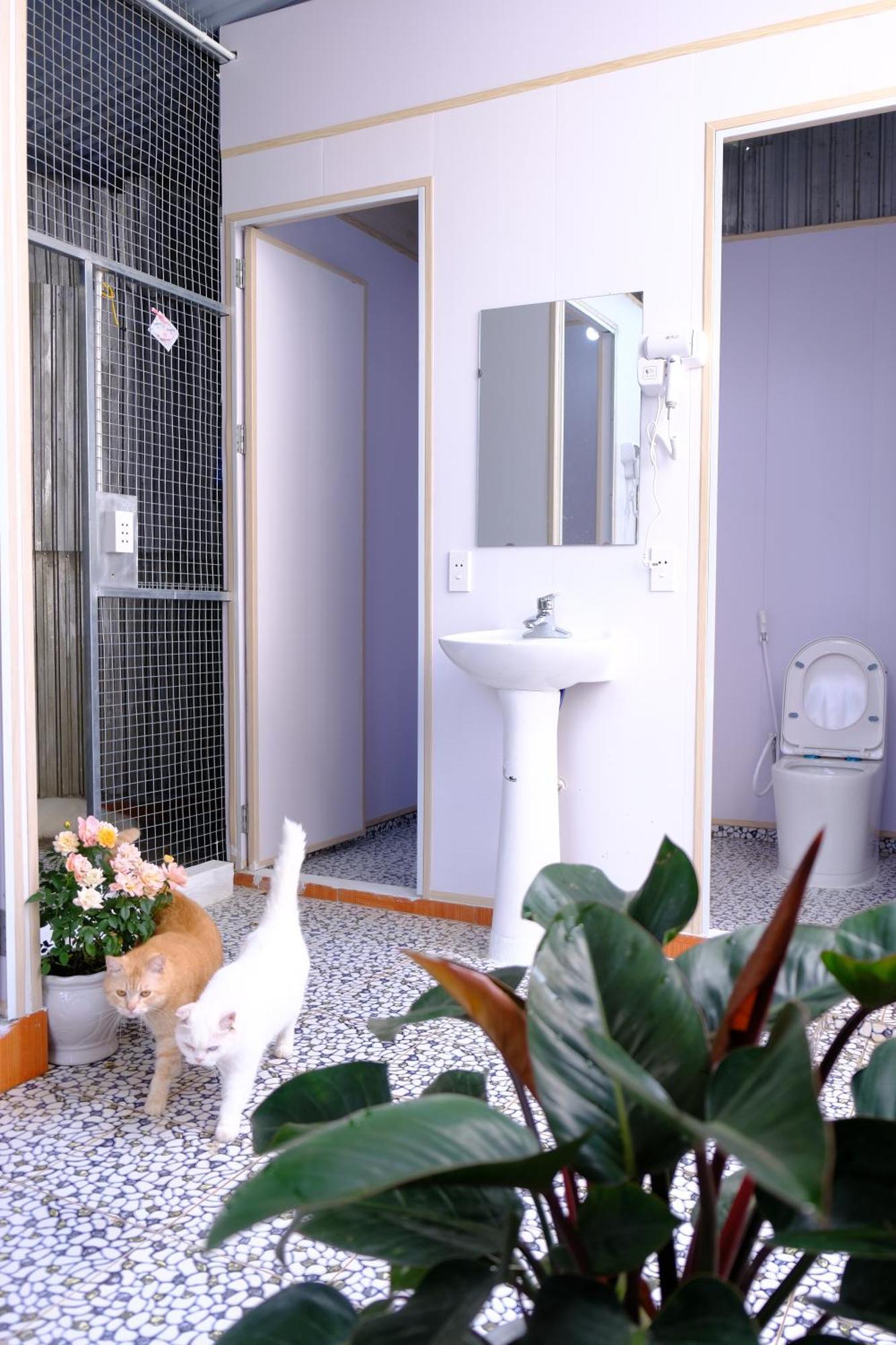 Lazy Cat Homestay - Motorbikes Rental & Tours Ha Giang Exterior photo